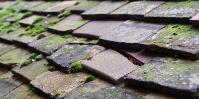 Wheaton Aston roof repair costs